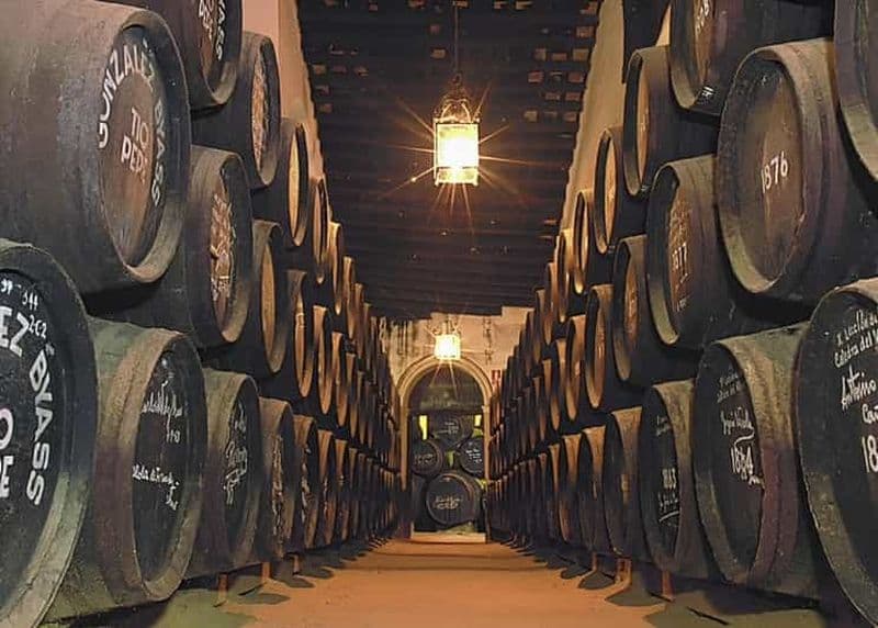 Billet Jerez depuis la Costa del Sol : caves avec dégustation de vins et spectacle équestre