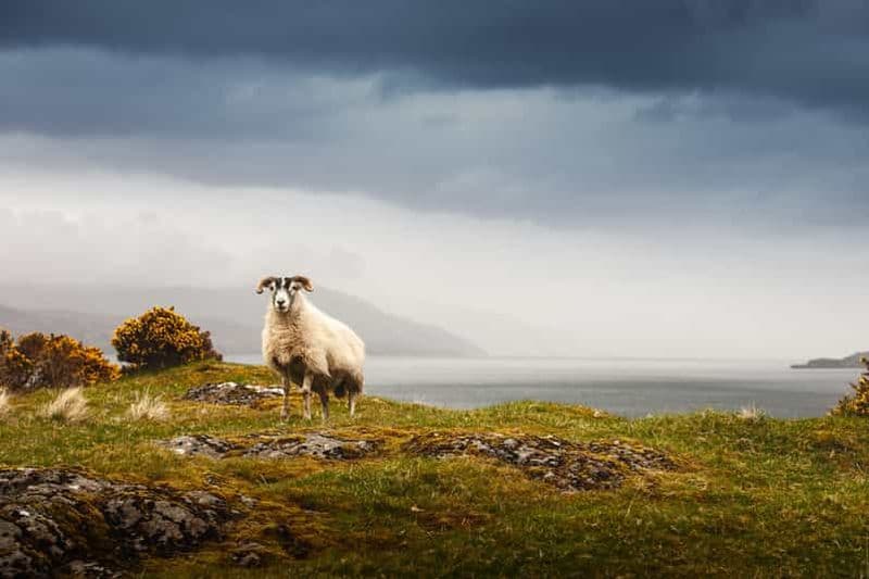 Billet Iona, Mull et l'île de Skye : circuit de 5 jours au départ d'Édimbourg