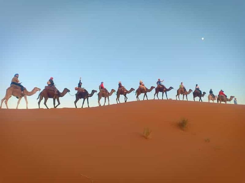 Billet Au départ de Marrakech : Circuit de 3 jours et 2 nuits dans le désert du Sahara à Fès