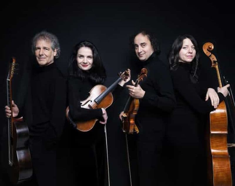 Billet Vienne : Ensemble Paganini au Musikverein de Vienne