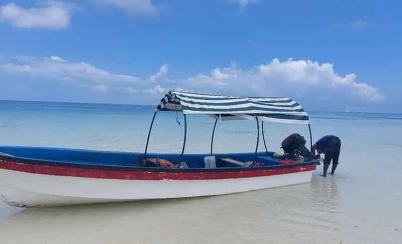 Pemba : Excursion de plongée avec masque et tuba sur l'île de Misali, avec déjeuner barbecue