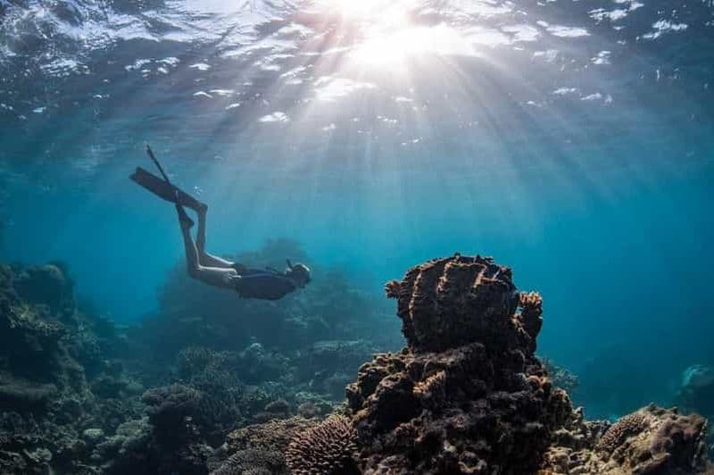 Billet Baie de Corail : Visite d'une jounée à Ningaloo Reef avec les raies Manta