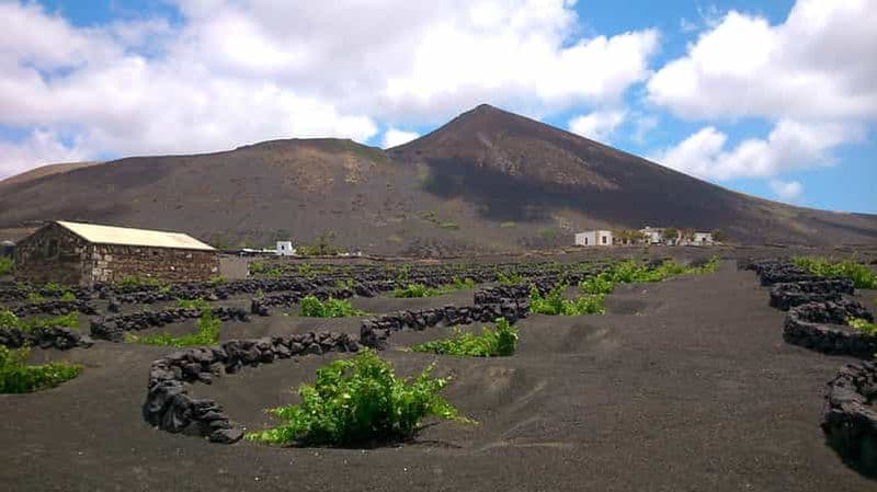 Billet Lanzarote : randonnée dans les vignobles de La Geria