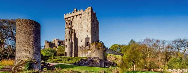 Billet Kinsale : Visite d'une demi-journée du château de Blarney et de Cobh à Cork