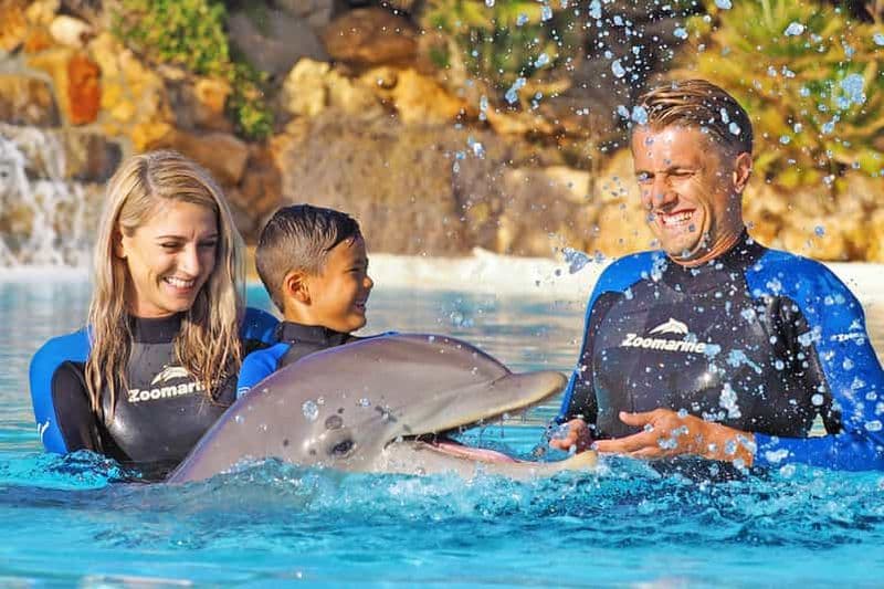 Billet Algarve Zoomarine Ticket et Dolphin Emotions Experience