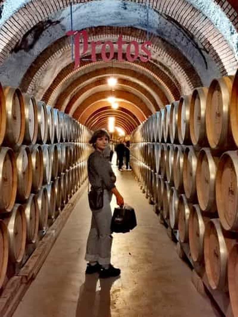 Billet Visite privée de la région viticole de Ribera del Duero