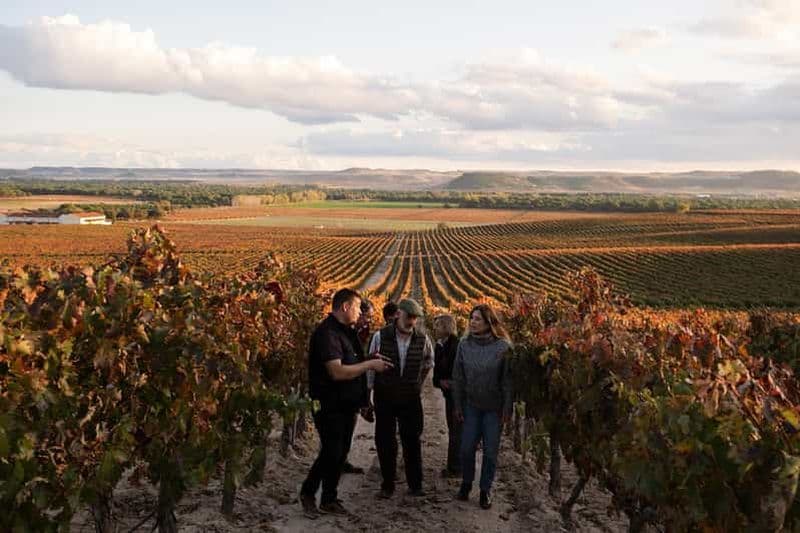 Billet Ribera del Duero : expérience, vignoble et 4x4 de montagne, apéritif et dégustation.
