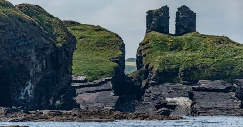 Billet Kilrush : Safari dans l'estuaire du Shannon et sur la côte du Kerry