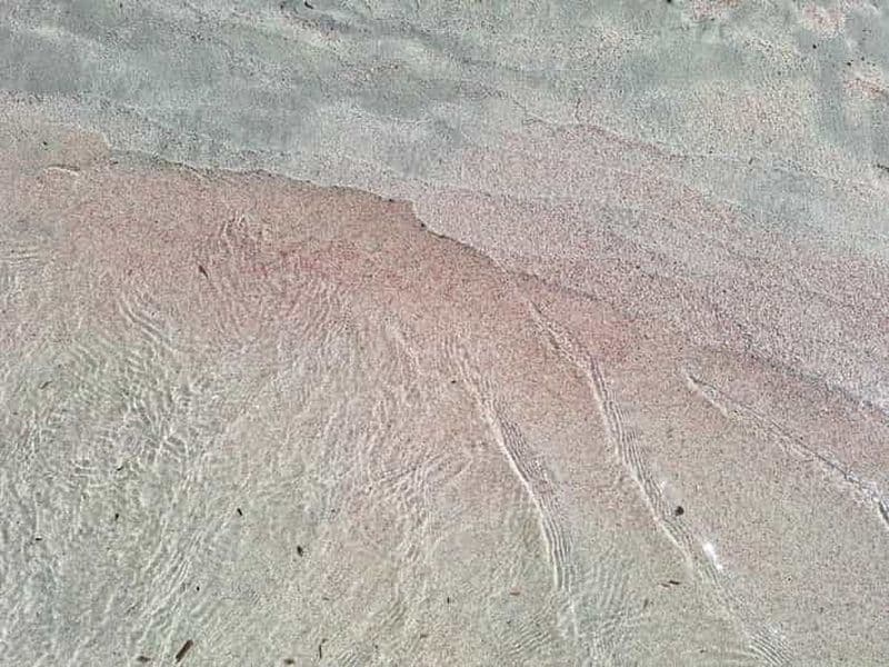 Billet La Canée : visite privée de Elafonisi, Chrisoskalitisa et Sfinari