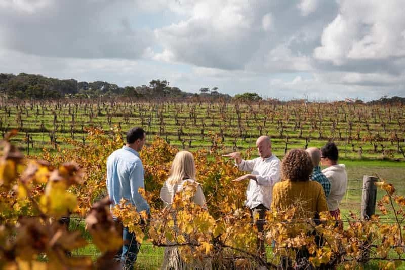 Billet Visite d'une jounée à Margaret River pour découvrir les vins, les produits locaux et la nature
