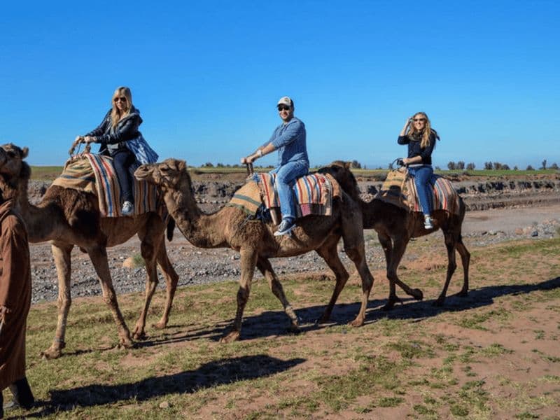 Billet Vallée de l'Ourika et montagnes de l'Atlas avec balade à dos de chameau