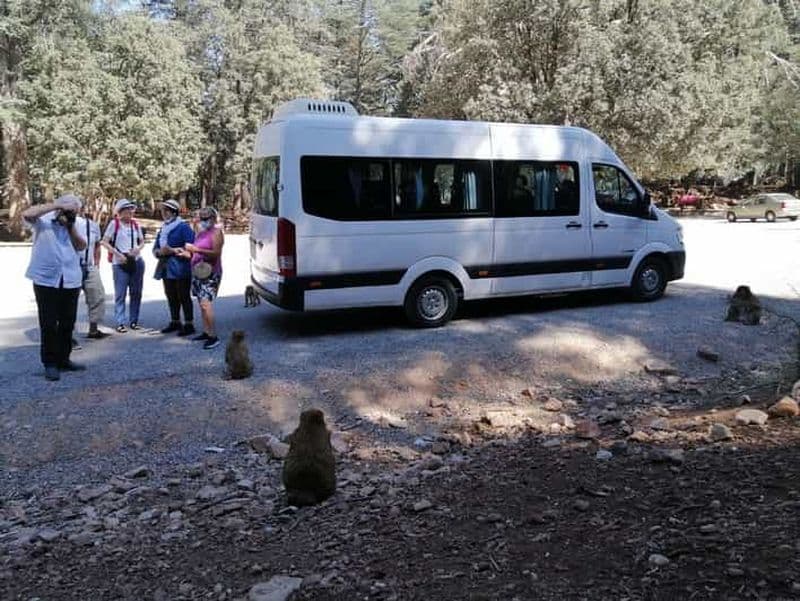 Billet Au départ de Fès : Excursion d'une journée dans le Moyen Atlas avec le parc national d'Ifrane