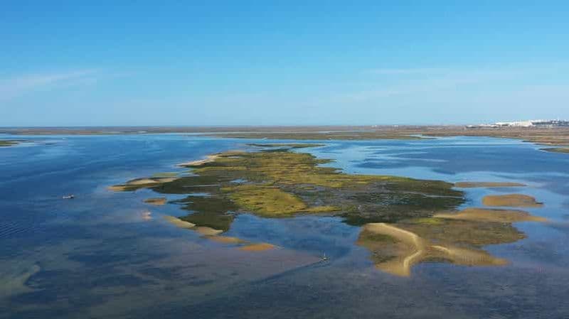 Billet Ria Formosa : tour en bateau de 3 heures des îles Armona et Culatra