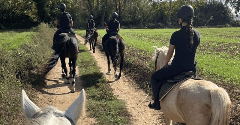 Billet Promenade à cheval sur la Costa Brava avec vue sur Castell d'Empordà