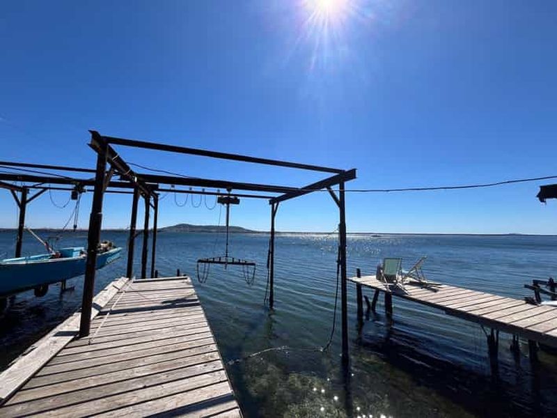 Billet Autour de l'étang de Thau - visites et dégustation