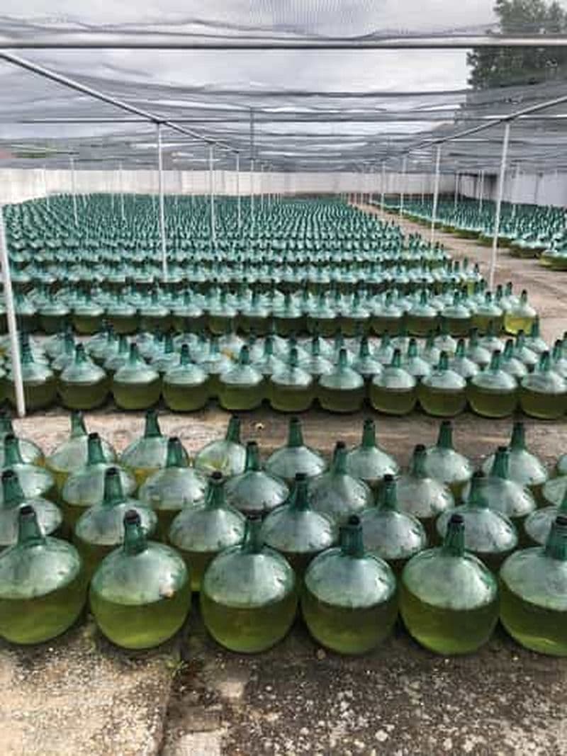 Billet Au départ de Madrid : visite des vignobles de Rueda et déjeuner Michelin