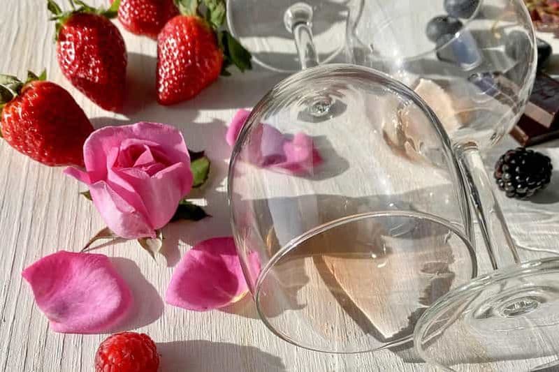 Billet Carvoeiro, Portimão, Lagos : Pique-nique romantique dans les vignobles de l'Algarve