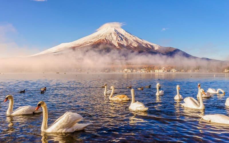 Visite guidée d'une journée au Mont Fuji avec le lac Kawaguchi et le lac Yamanaka