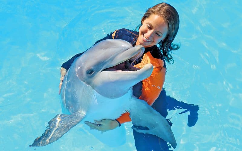 Billet Expérience émotions avec les dauphins à Zoomarine avec billets d'entrée