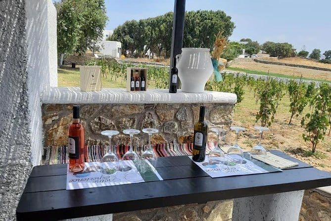 Billet Dégustation de vins à Mykonos