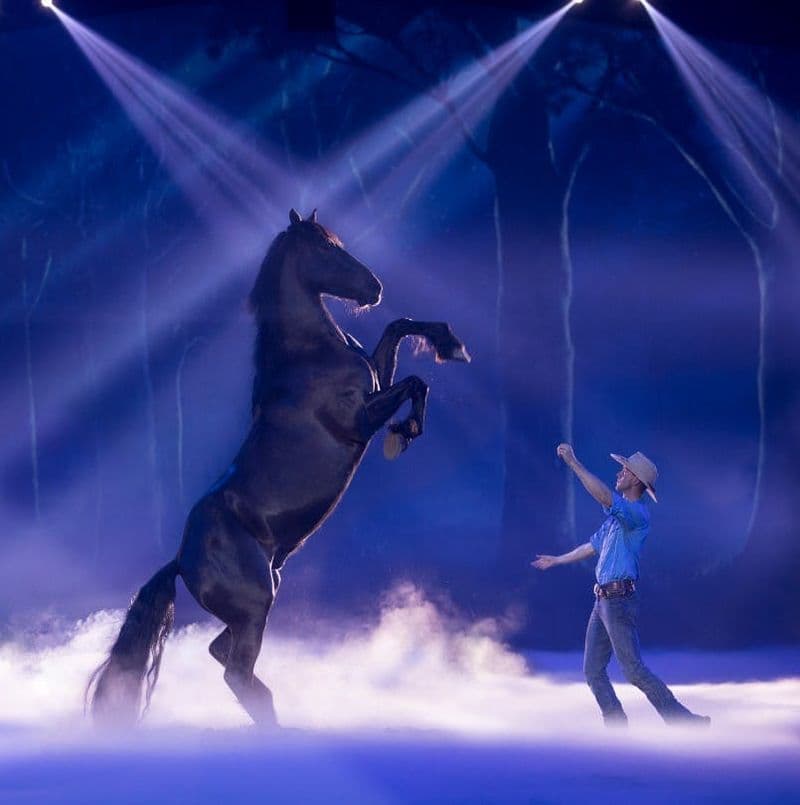 Billet Dîner avec spectacle Australian Outback Spectacular à Oxenford