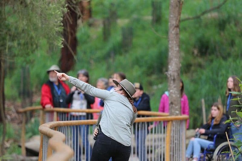 Billet Excursion sur la Great Ocean Road à la découverte de la faune sauvage