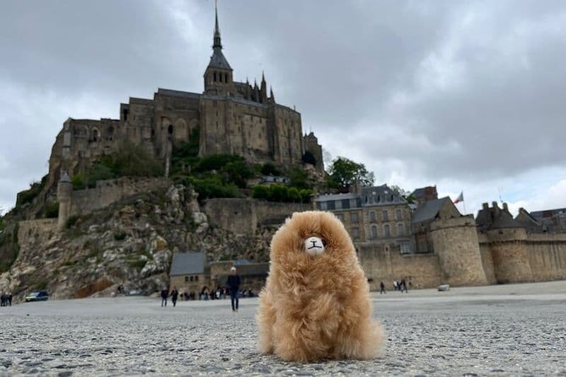 Billet Excursion privée au Mont-Saint-Michel et au Jour J depuis Paris