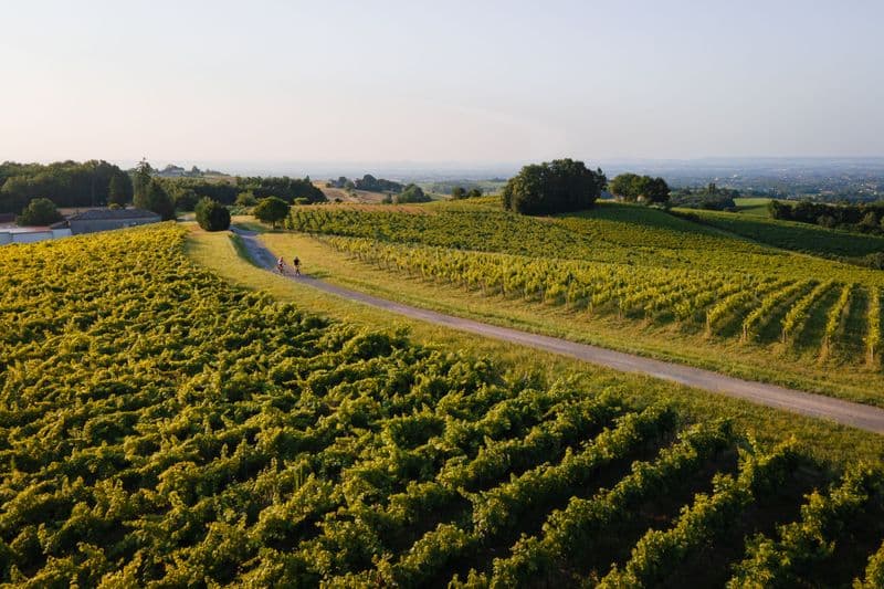 Billet Location de vélos chez Stations Bee's - Gaillac