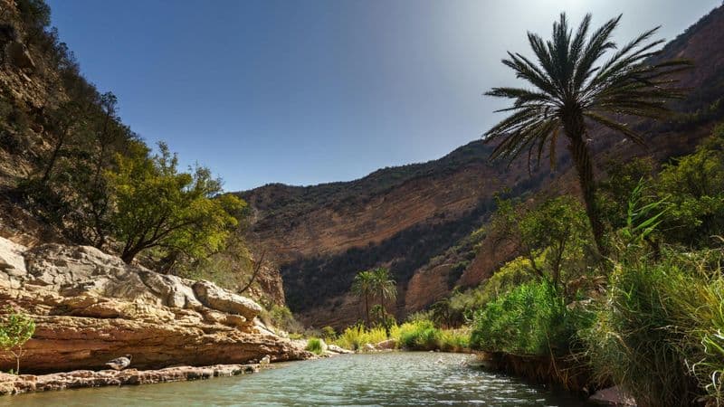 Billet 4x4 Atlas Mountains Tour from Agadir with Lunch