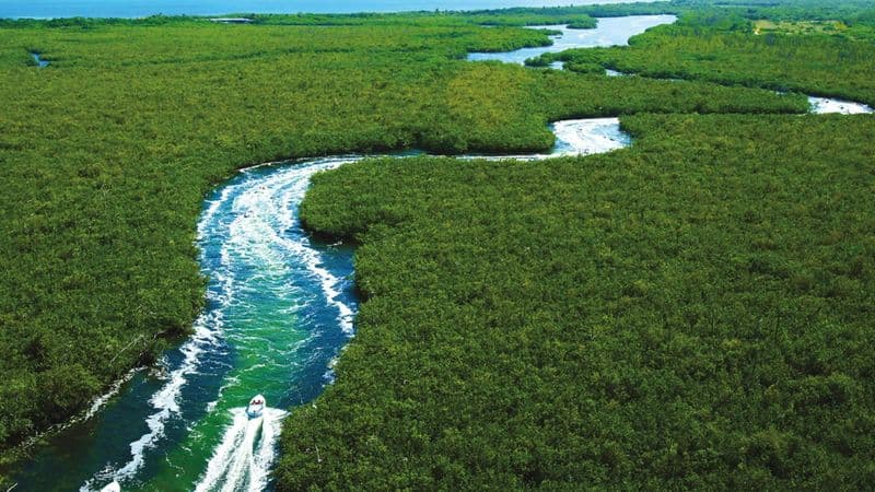 Billet Excursion en bateau rapide dans la jungle et plongée en apnée à Punta Nizuc