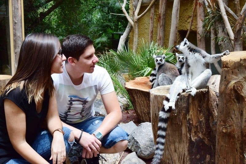 Billet Billet d'entrée au Jungle Park