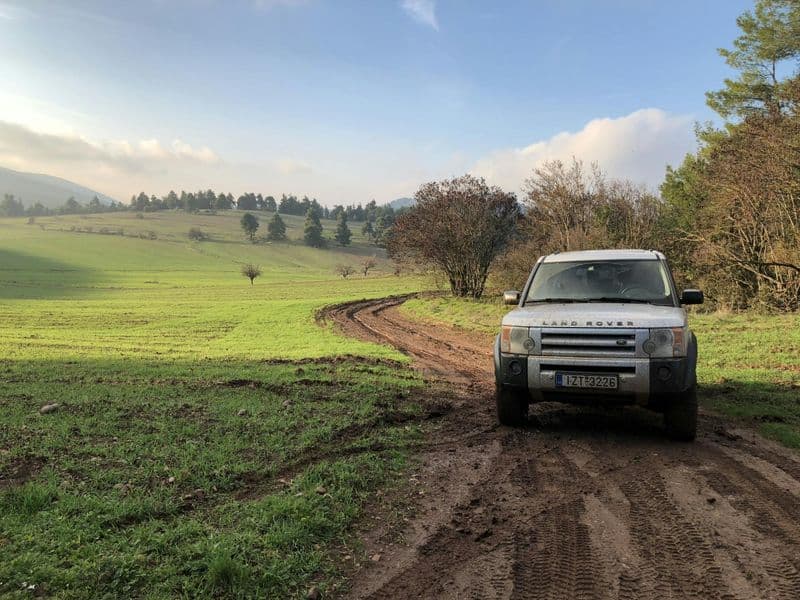 Billet Excursion safari privé à Athènes dans le parc de la montagne Parnitha