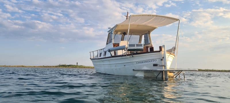 Billet Majoni Cala LLarga (Motorboat)