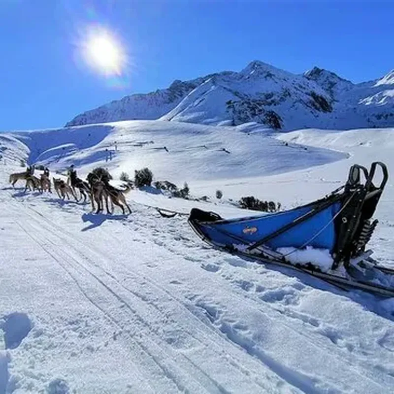Billet Randonnée en Chiens de Traîneau à La Mongie