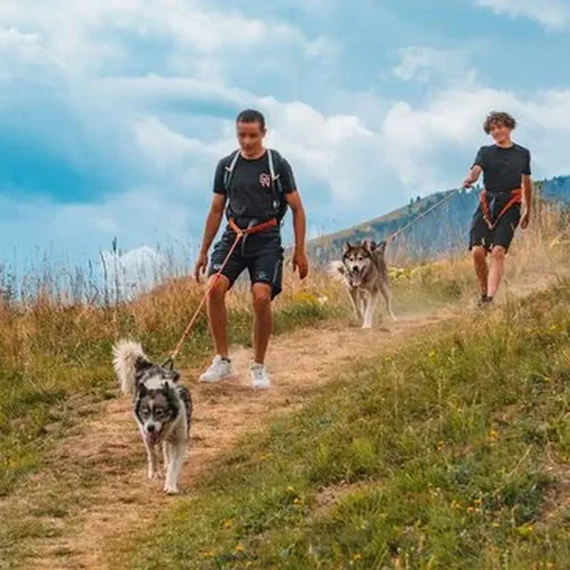 Billet Balade en Cani-Rando à Saint-Sorlin-d'Arves