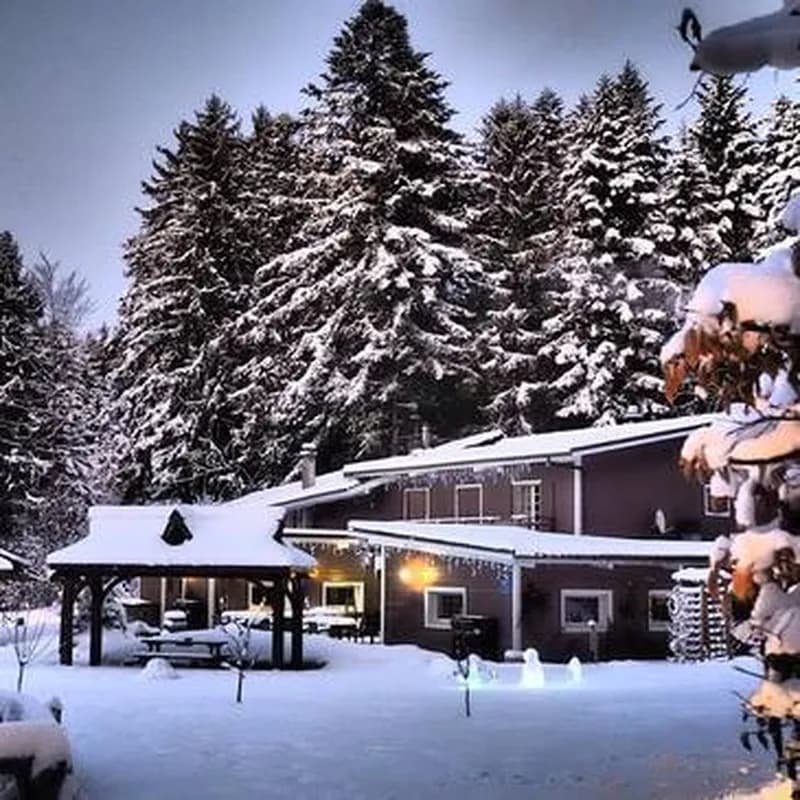 Billet Nuit dans un Chalet en bois près de Thonon-les-Bains
