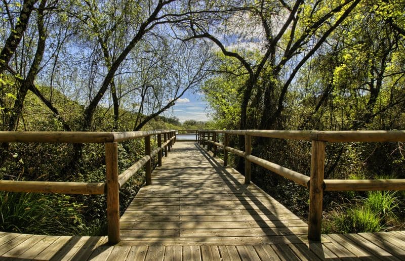 Billet Parc national de Doñana et El Rocío : excursion d'une journée depuis Séville