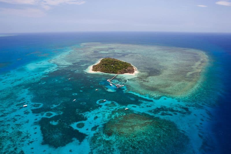 Billet Combo 3-en-1 Reef & Rainforest