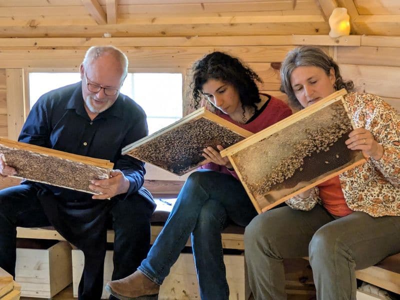 Billet Découvrez le monde des abeilles en groupe